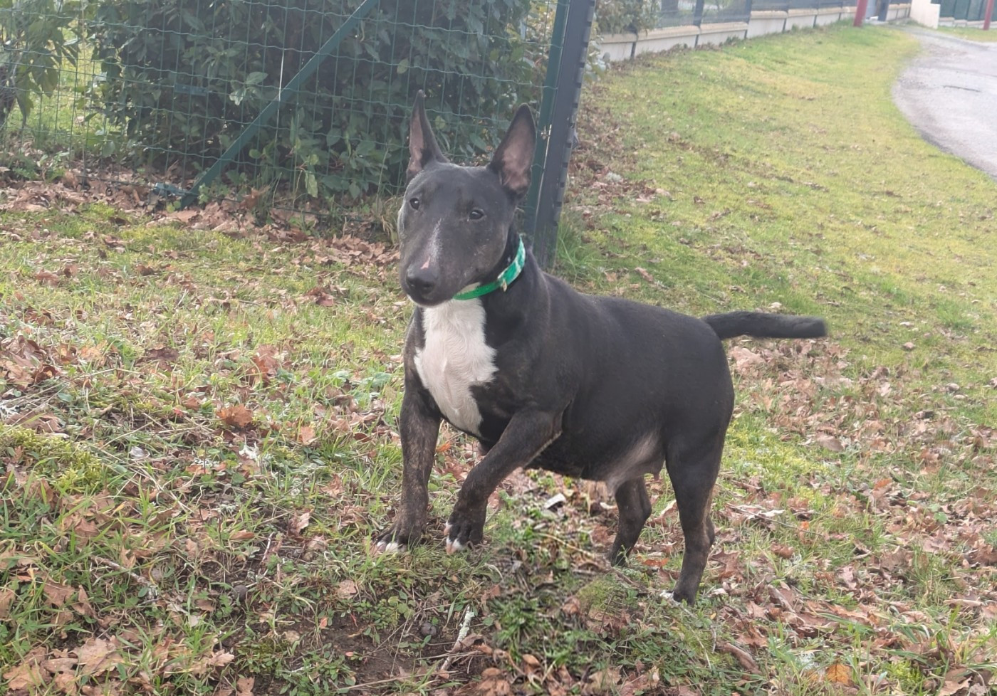 hell's line Una pequena